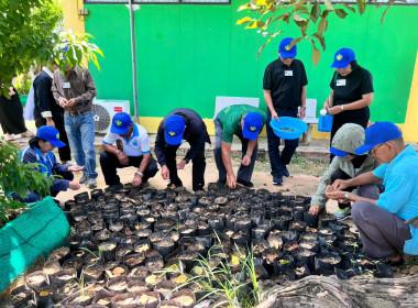 โครงการอาสาสมัครสหกรณ์ กิจกรรมพัฒนาอาสาสมัครสหกรณ์ ... พารามิเตอร์รูปภาพ 11